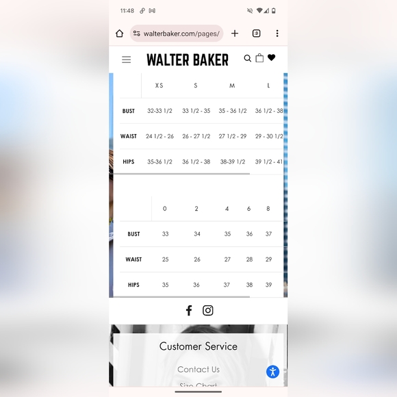 Walter Baker Dress - Picture 14 of 14